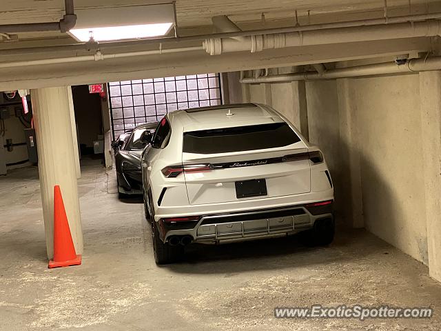 Lamborghini Urus spotted in Beverly Hills, California