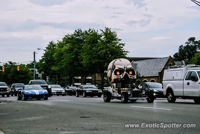 Other Unknown spotted in Bloomfield Hills, Michigan