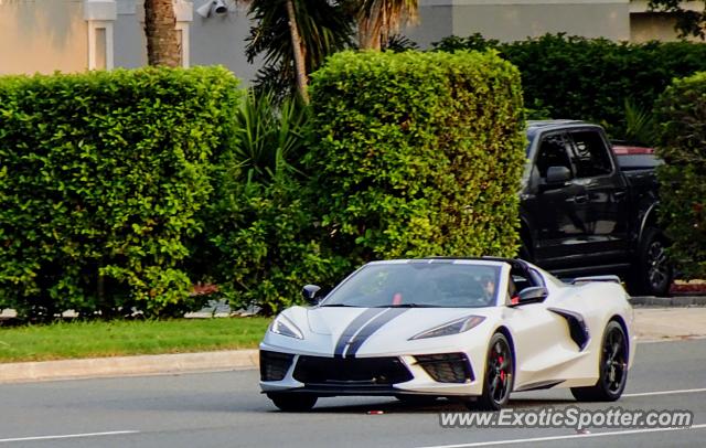 Chevrolet Corvette Z06 spotted in Jacksonville, Florida