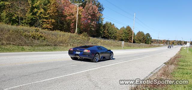 Lamborghini Murcielago spotted in Cleveland, Ohio