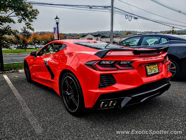 Chevrolet Corvette ZR1 spotted in Warren, New Jersey