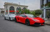 Lamborghini Gallardo