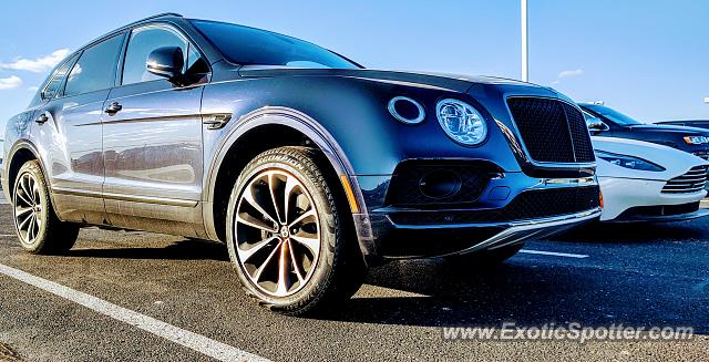 Bentley Continental spotted in Bloomfield Hills, Michigan