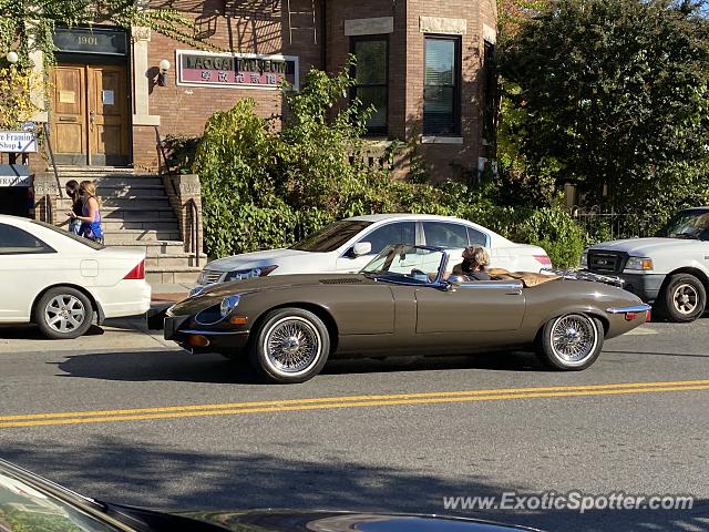 Jaguar E-Type spotted in Washington DC, United States