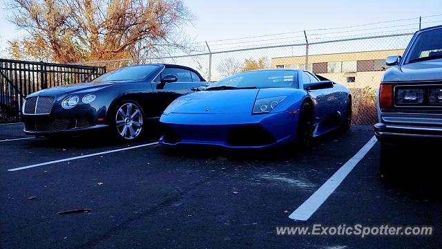 Lamborghini Murcielago spotted in Bloomfield Hills, Michigan