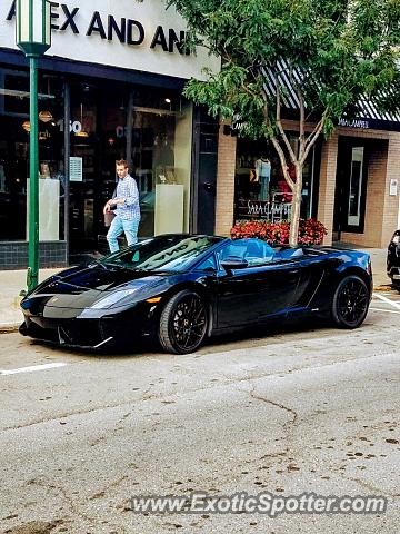 Lamborghini Gallardo spotted in Bloomfield Hills, Michigan