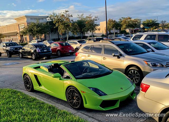 Lamborghini Gallardo spotted in Jacksonville, Florida