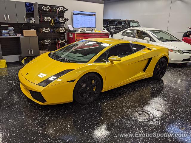 Lamborghini Gallardo spotted in Concord, California
