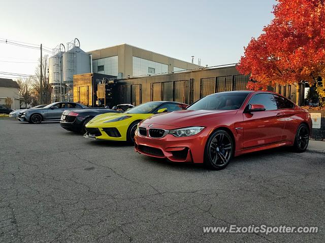 Audi R8 spotted in Birmingham, Michigan