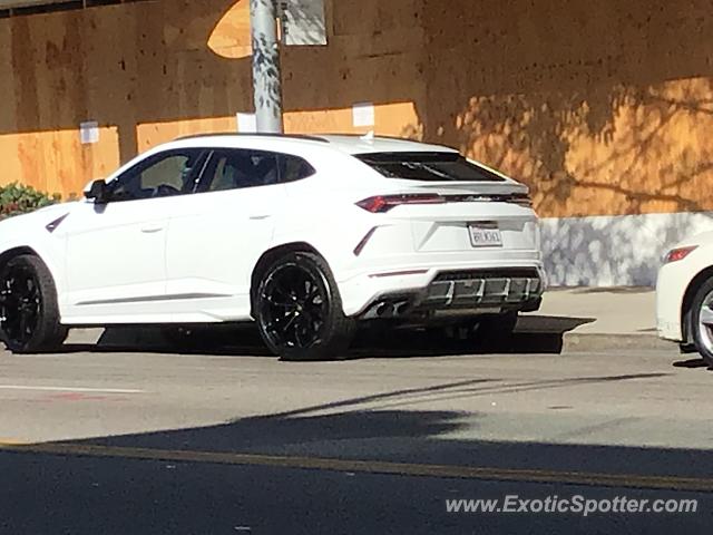 Lamborghini Urus spotted in Beverly Hills, California