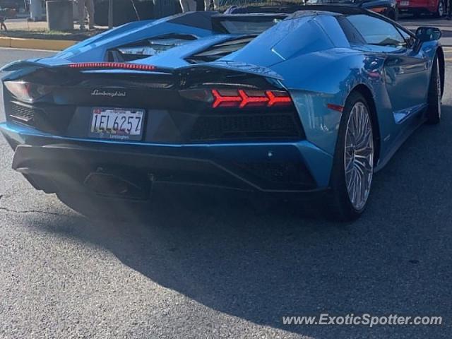 Lamborghini Aventador spotted in Potomac, Maryland