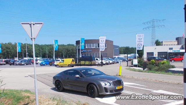Bentley Continental spotted in Alblasserdam, Netherlands