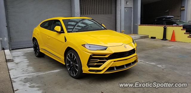 Lamborghini Urus spotted in Washington, DC, United States