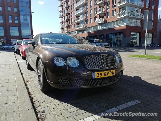 Bentley Continental spotted in Papendrecht, Netherlands