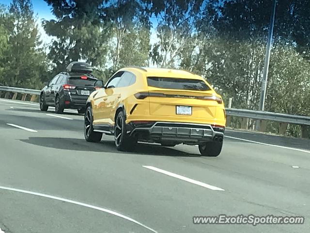 Lamborghini Urus spotted in Glendora, California