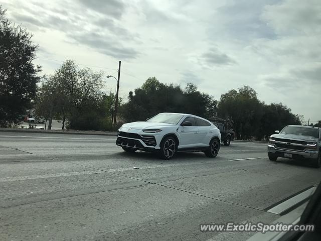 Lamborghini Urus spotted in Los Angeles, California