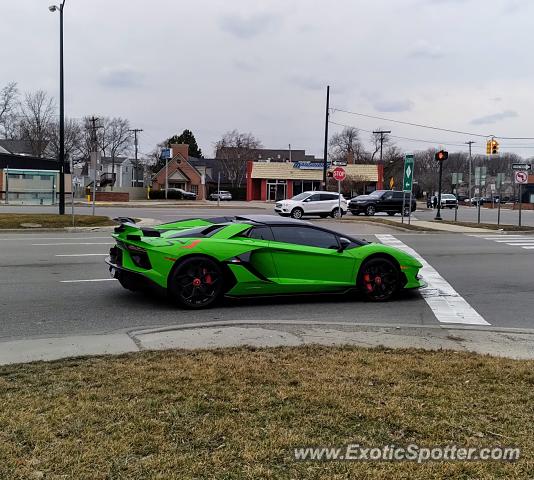 Lamborghini Aventador spotted in Birmingham, Michigan