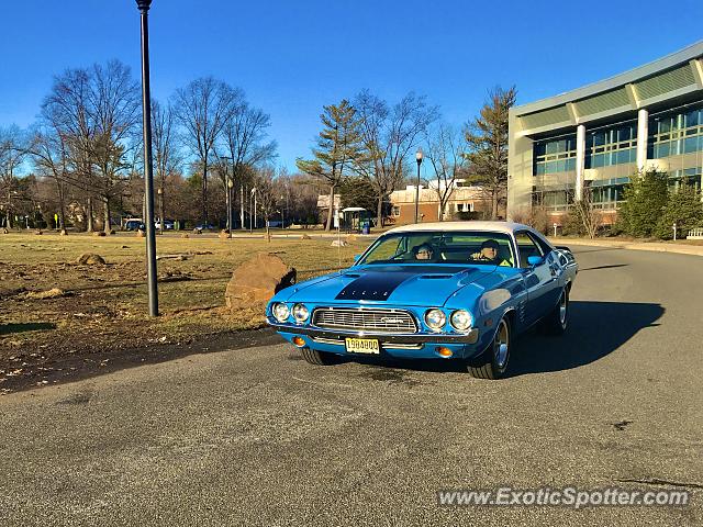 Other Vintage spotted in Scotch Plains, New Jersey