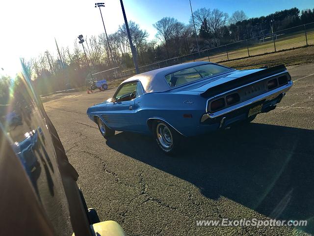 Other Vintage spotted in Scotch Plains, New Jersey