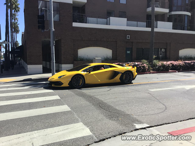 Lamborghini Aventador spotted in Beverly Hills, California