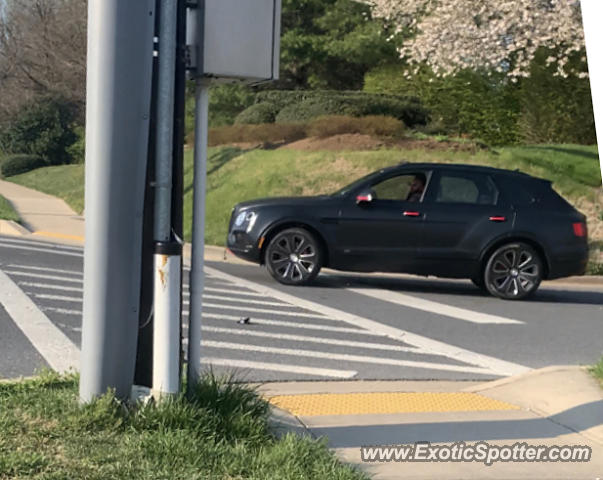 Bentley Bentayga spotted in North Bethesda, Maryland