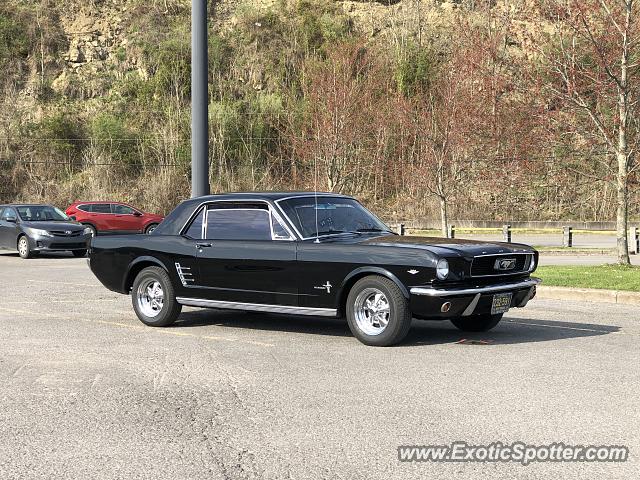 Other Vintage spotted in Fairmont, West Virginia