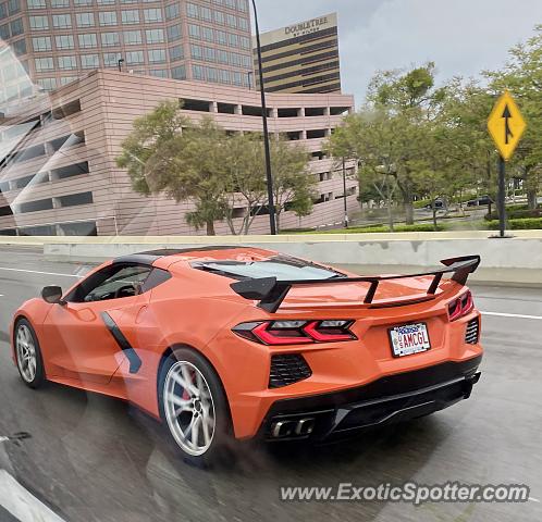 Chevrolet Corvette Z06 spotted in Orlando, Florida