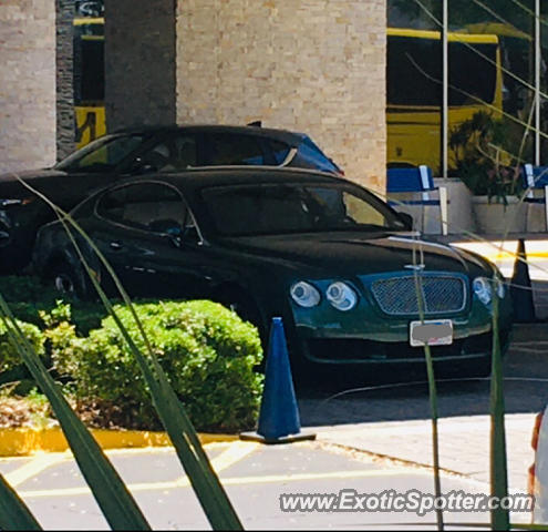 Bentley Continental spotted in Jacksonville, Florida