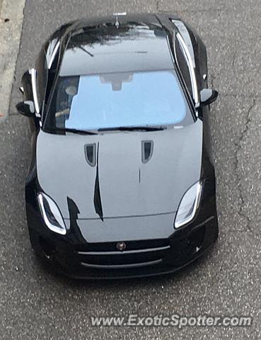 Jaguar F-Type spotted in Jacksonville, Florida