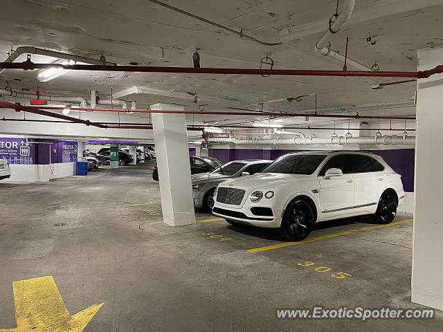 Bentley Bentayga spotted in Washington DC, United States