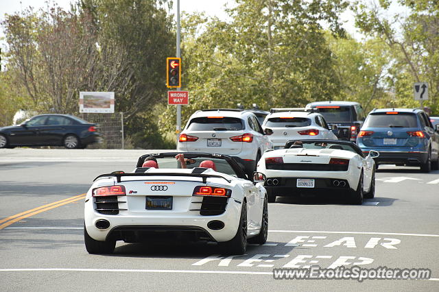 Audi R8 spotted in Malibu, California