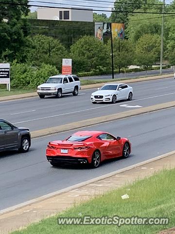 Chevrolet Corvette Z06 spotted in Charlotte, North Carolina