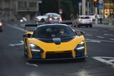Mclaren Senna