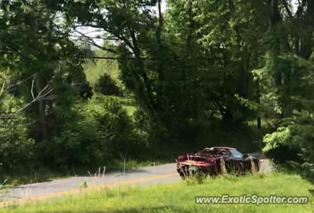 Ferrari F430 spotted in Leesburg, Virginia