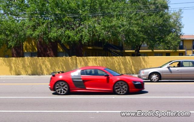Audi R8 spotted in Sarasota, Florida