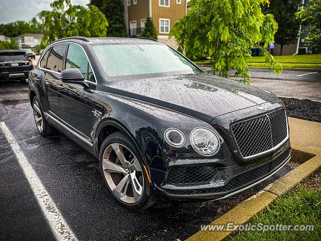 Bentley Bentayga spotted in Bloomington, Indiana