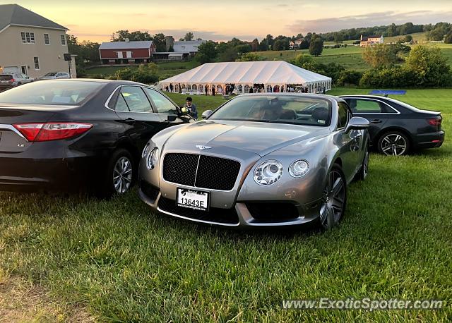 Bentley Continental spotted in Leesburg, Virginia