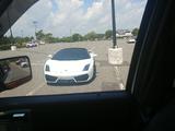 Lamborghini Gallardo