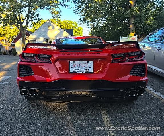 Chevrolet Corvette Z06 spotted in Scotch Plains, New Jersey
