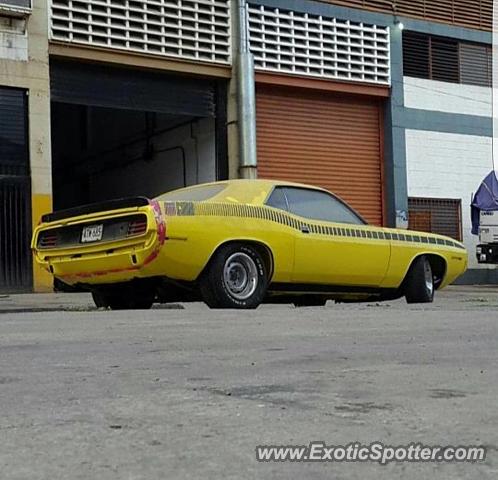 Other Other spotted in Puerto La Cruz, Venezuela