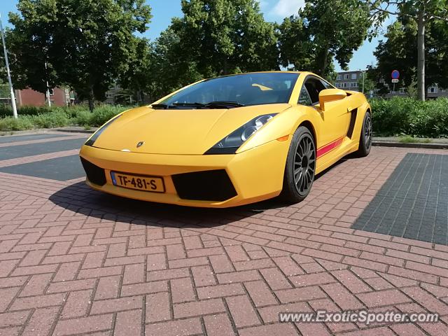 Lamborghini Gallardo spotted in Papendrecht, Netherlands