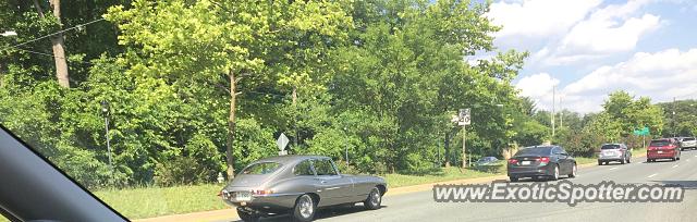 Jaguar E-Type spotted in Bethesda, Maryland