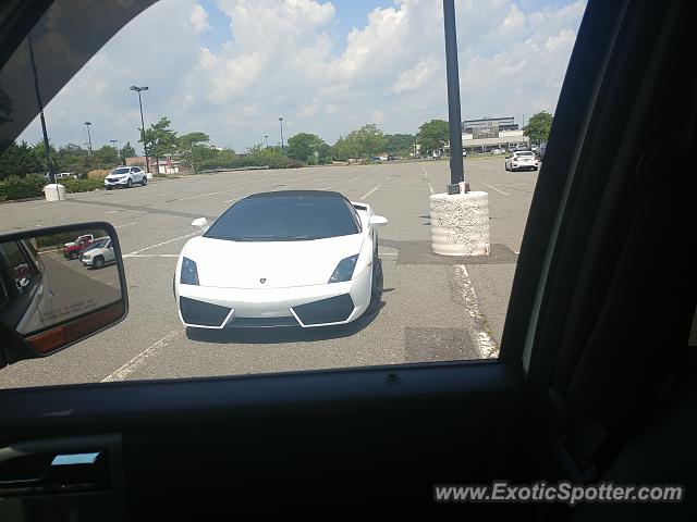 Lamborghini Gallardo spotted in Brick, New Jersey