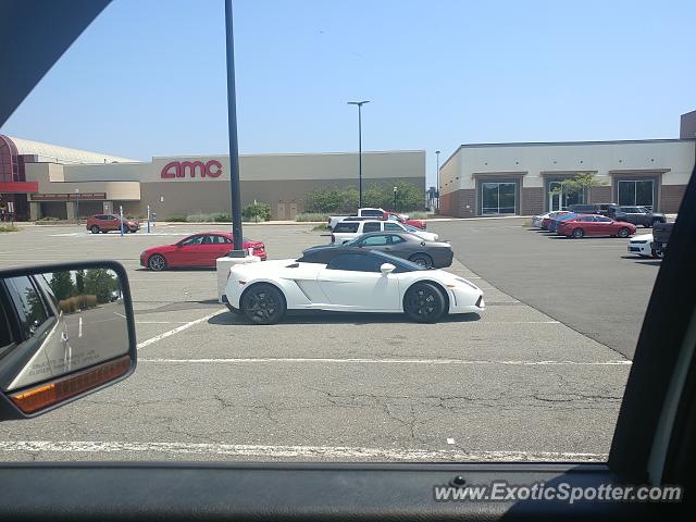 Lamborghini Gallardo spotted in Brick, New Jersey