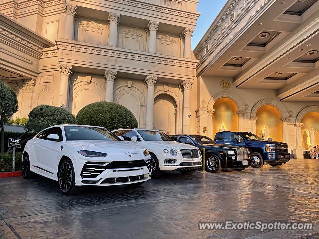 Lamborghini Urus spotted in Las Vegas, Nevada