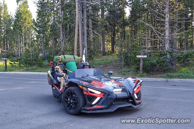 Other Other spotted in Yellowstone, Wyoming