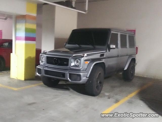 Mercedes 4x4 Squared spotted in Asheville, North Carolina
