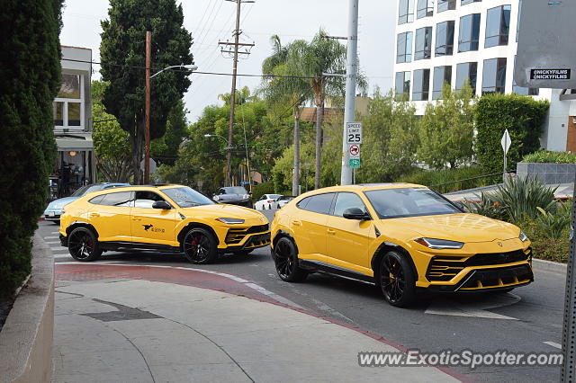 Lamborghini Urus spotted in Los, California
