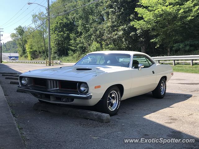 Other Vintage spotted in Whitehall, West Virginia