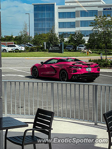 Chevrolet Corvette Z06 spotted in Jacksonville, Florida